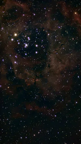 Астрофото: NGC 2239, автор Arstro