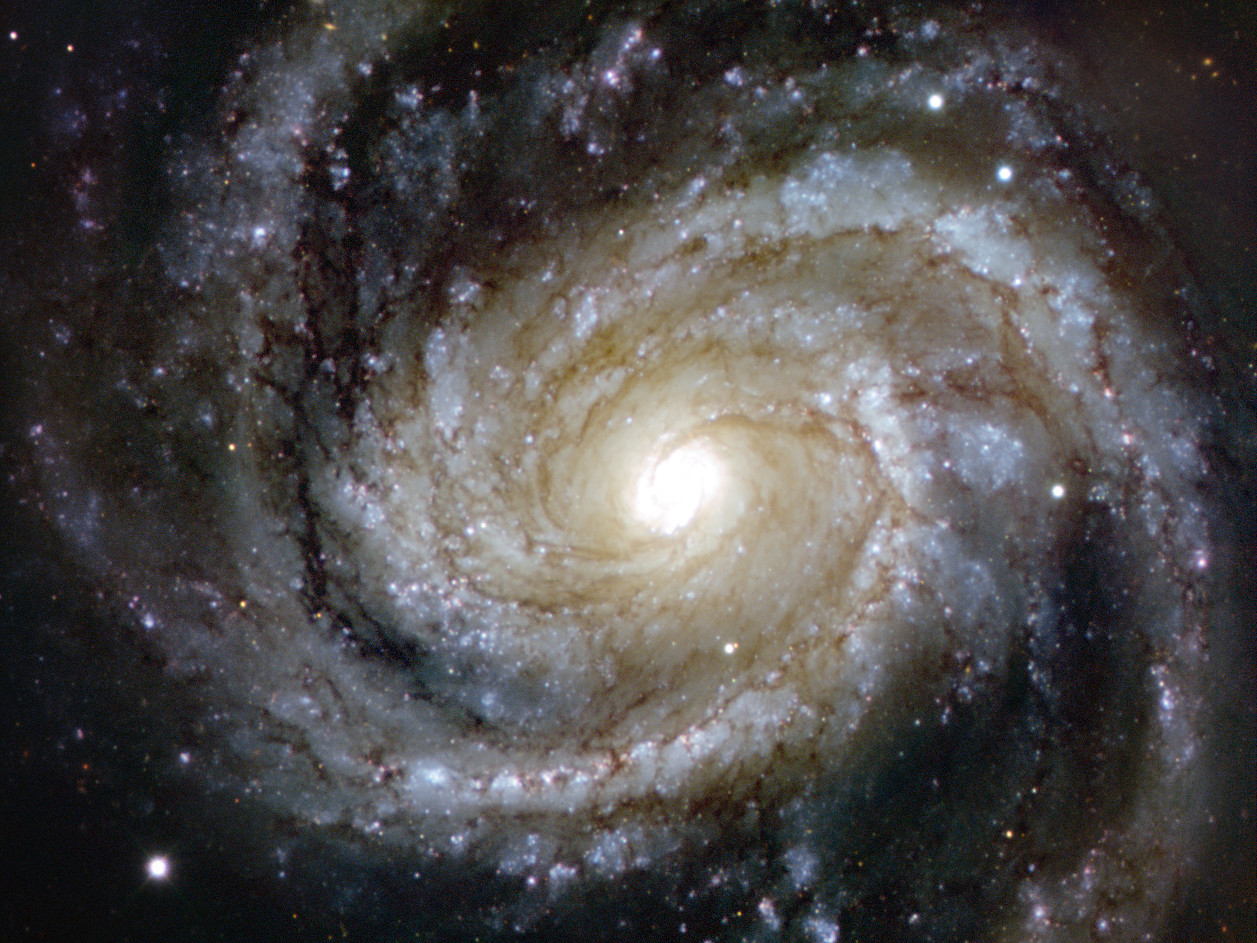M100