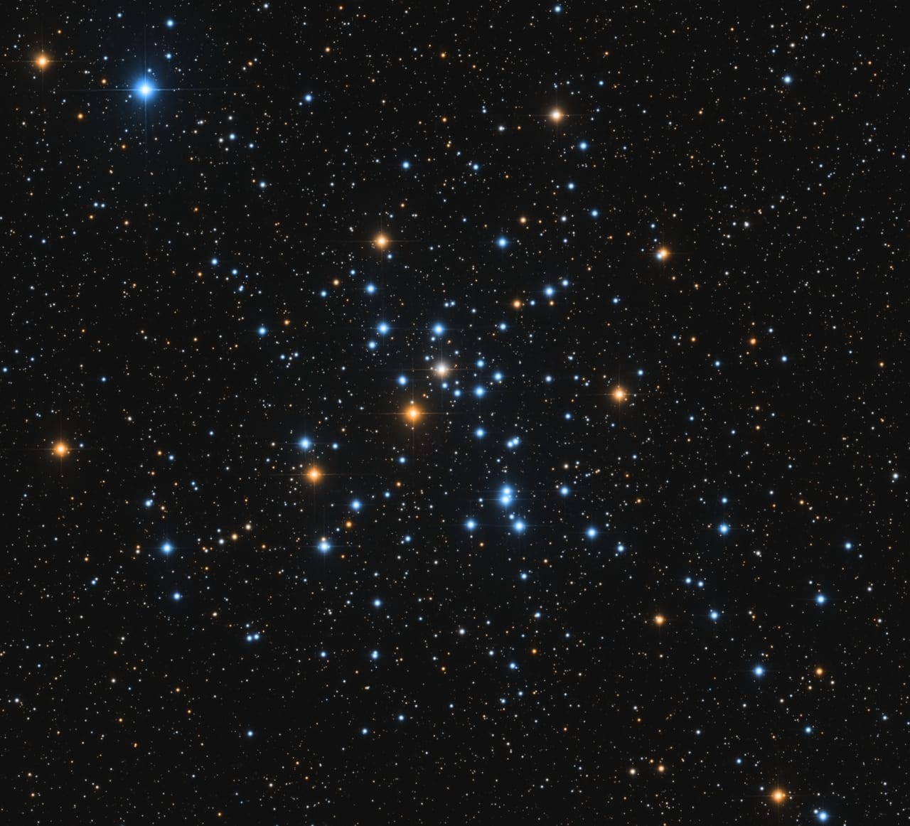 M41