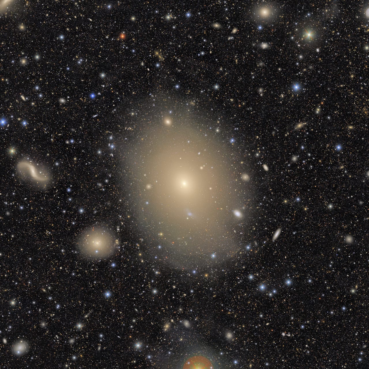 M49