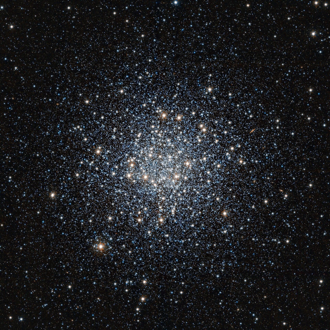 M55