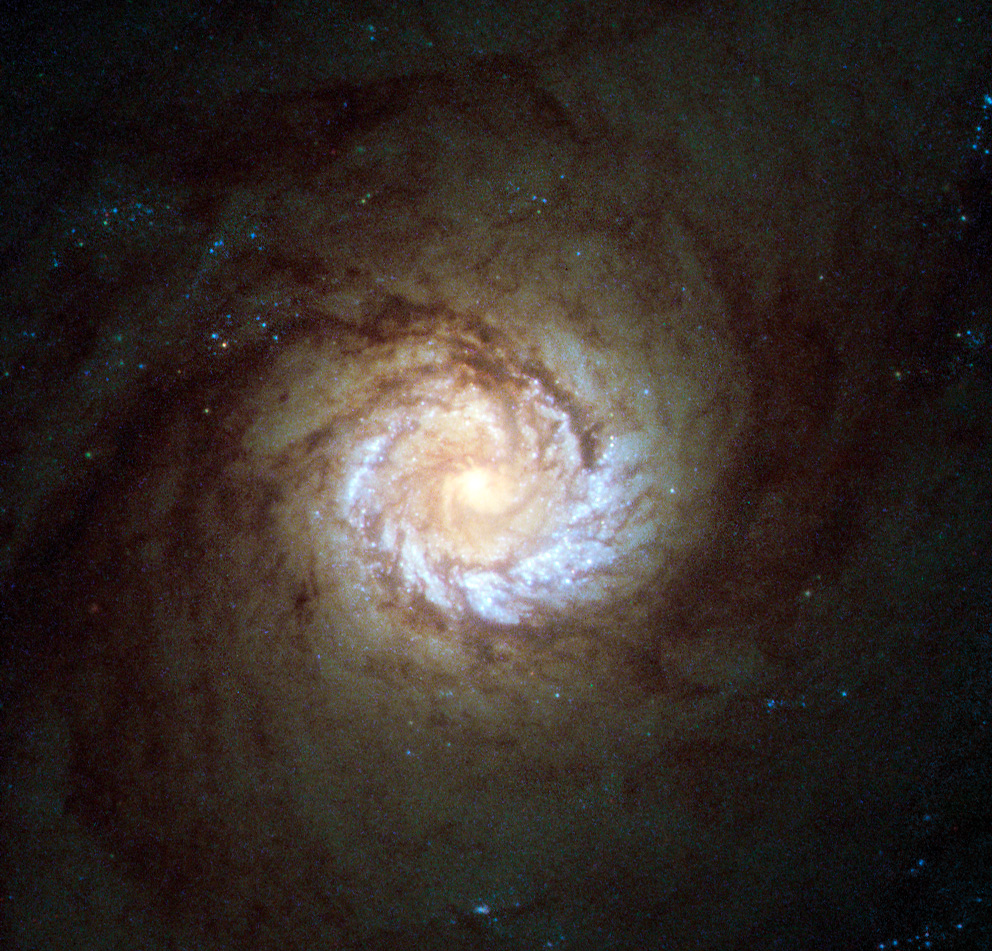 M61