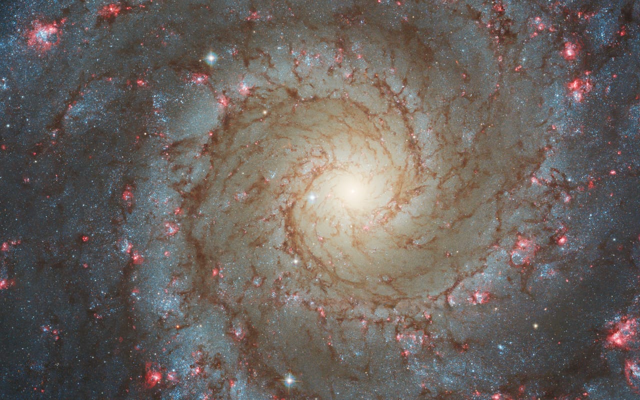 M74