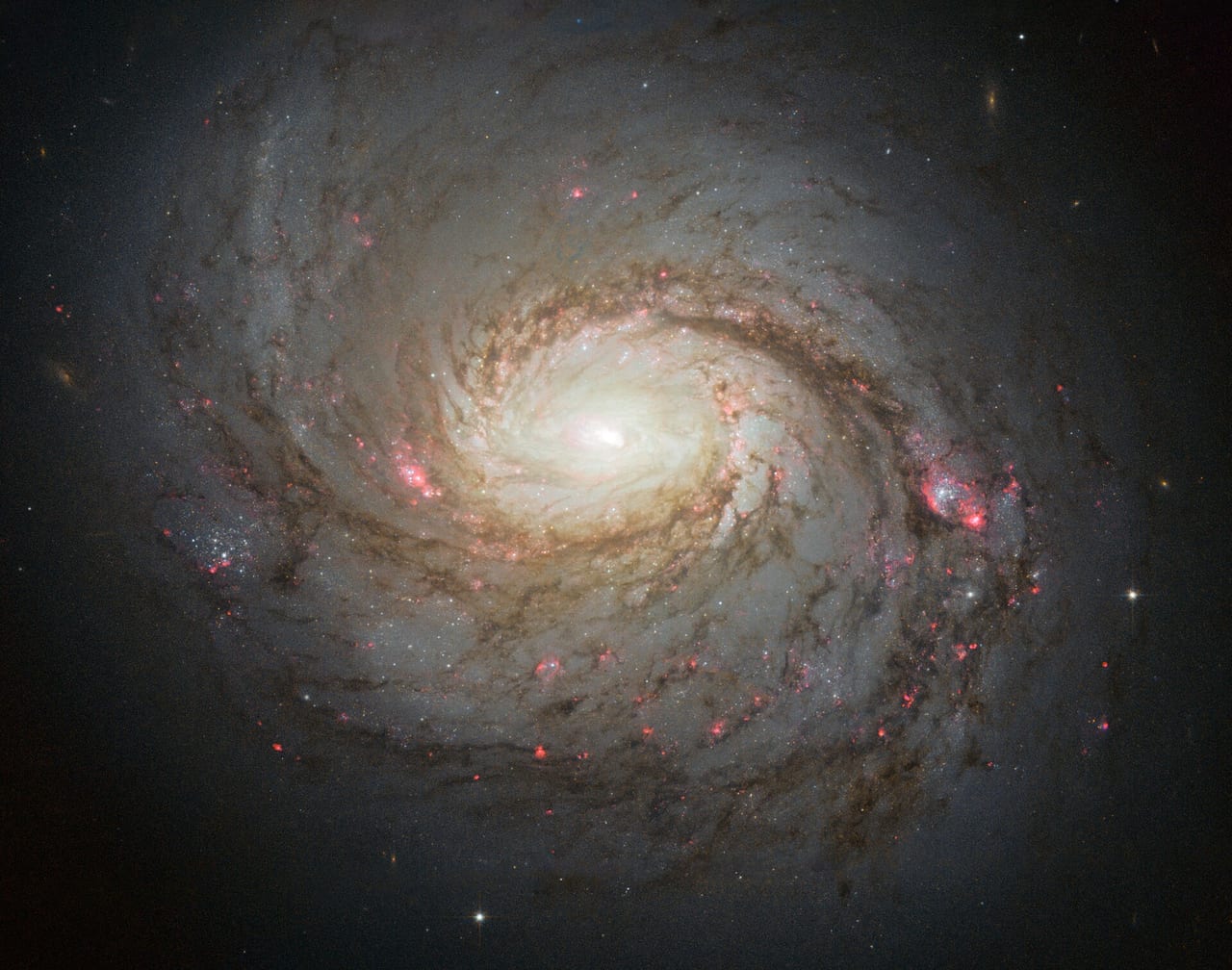 M77