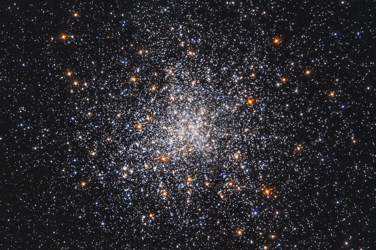 M79