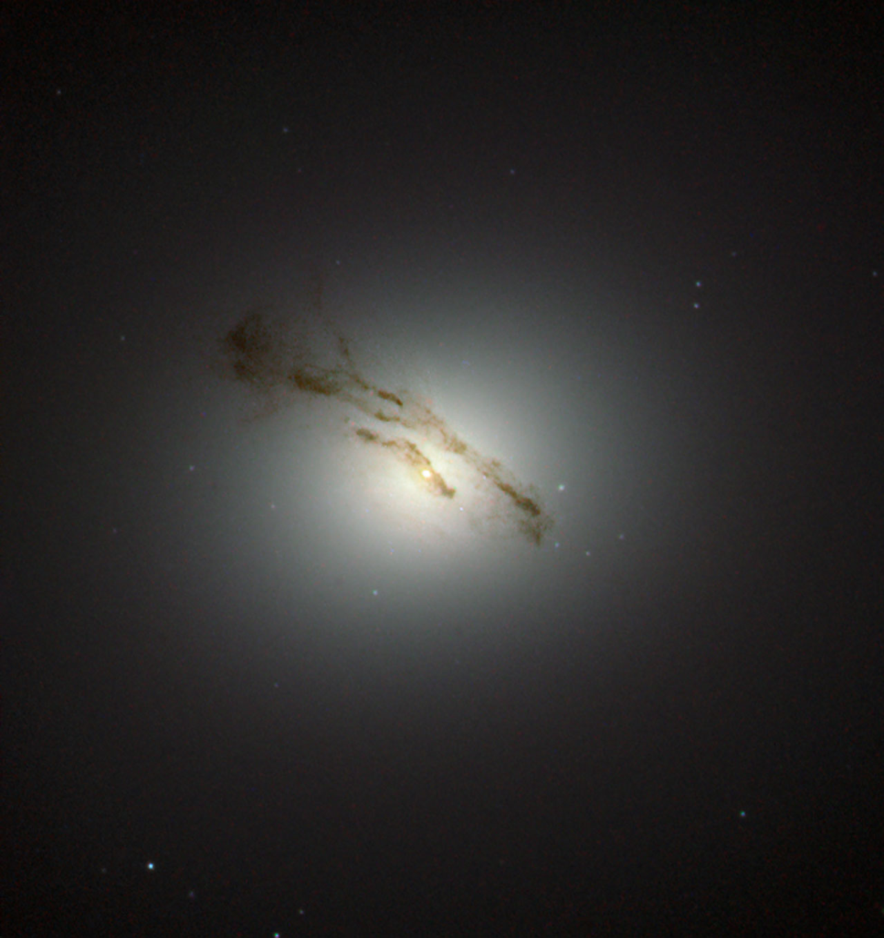 M84