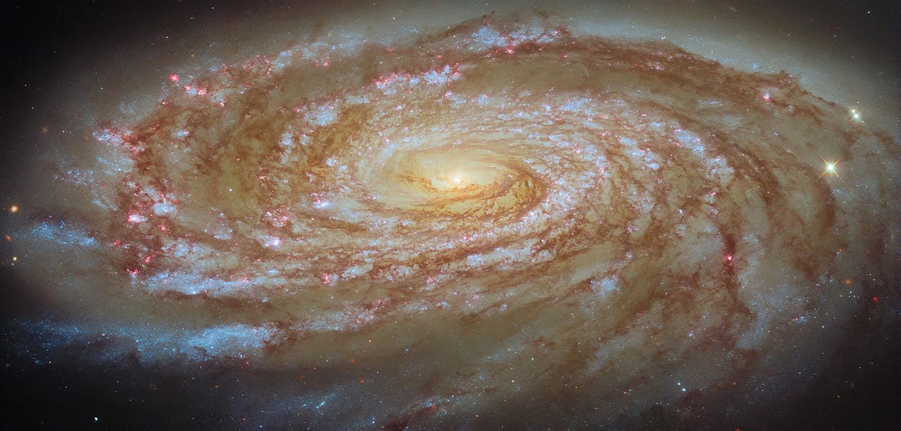 M88
