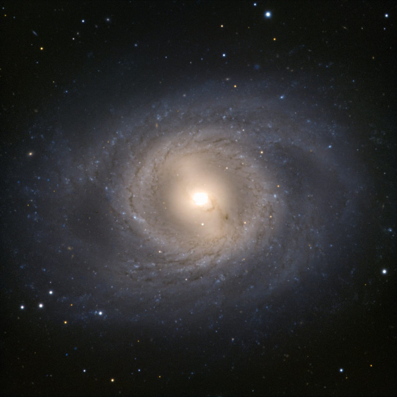 M95