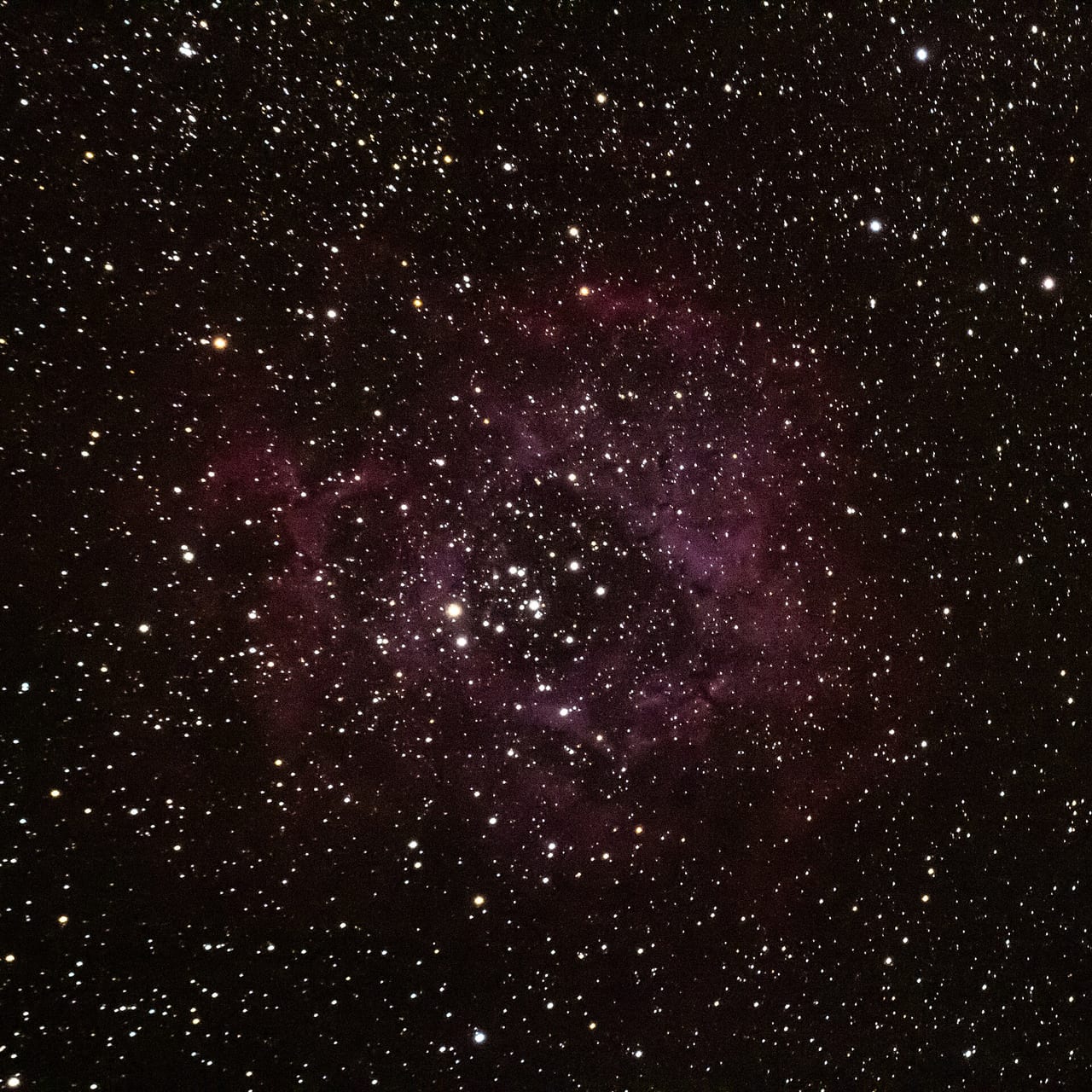 NGC 2239