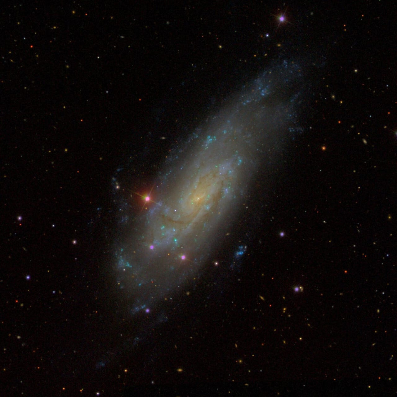 NGC 4559