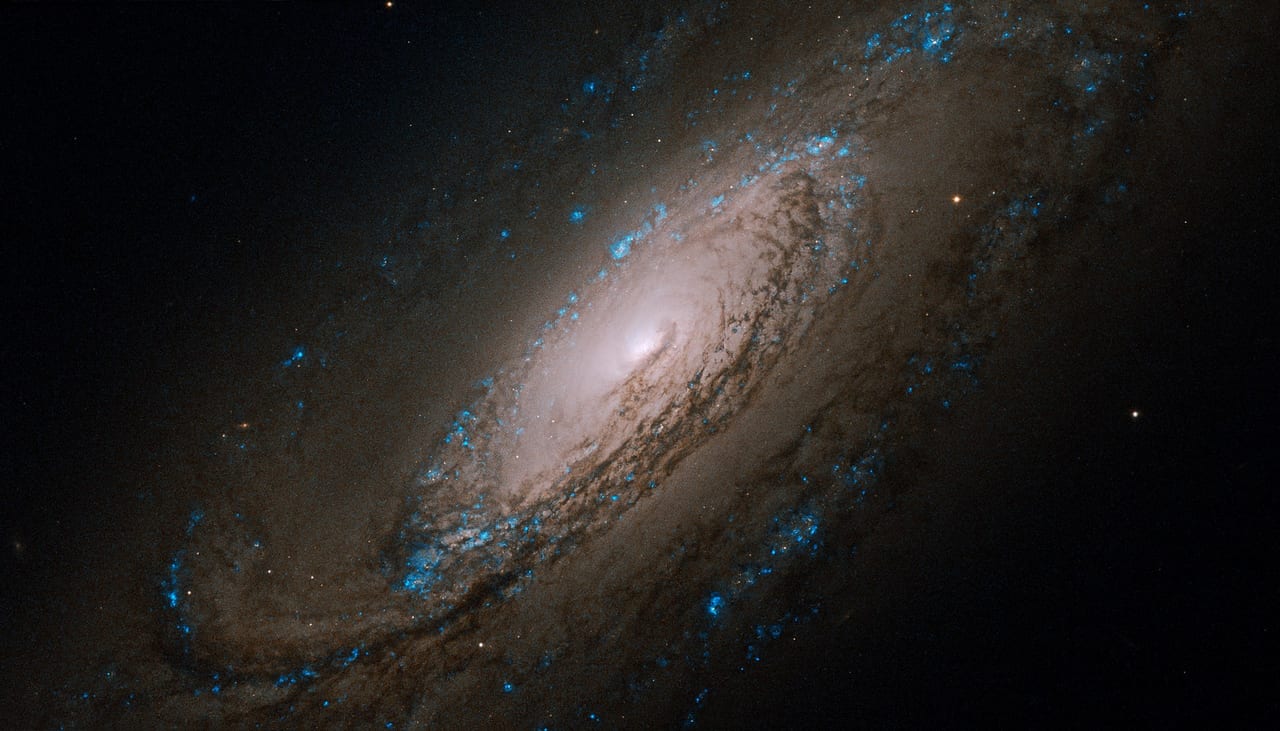 NGC 5005